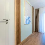 Xox Comfort Giurgiului